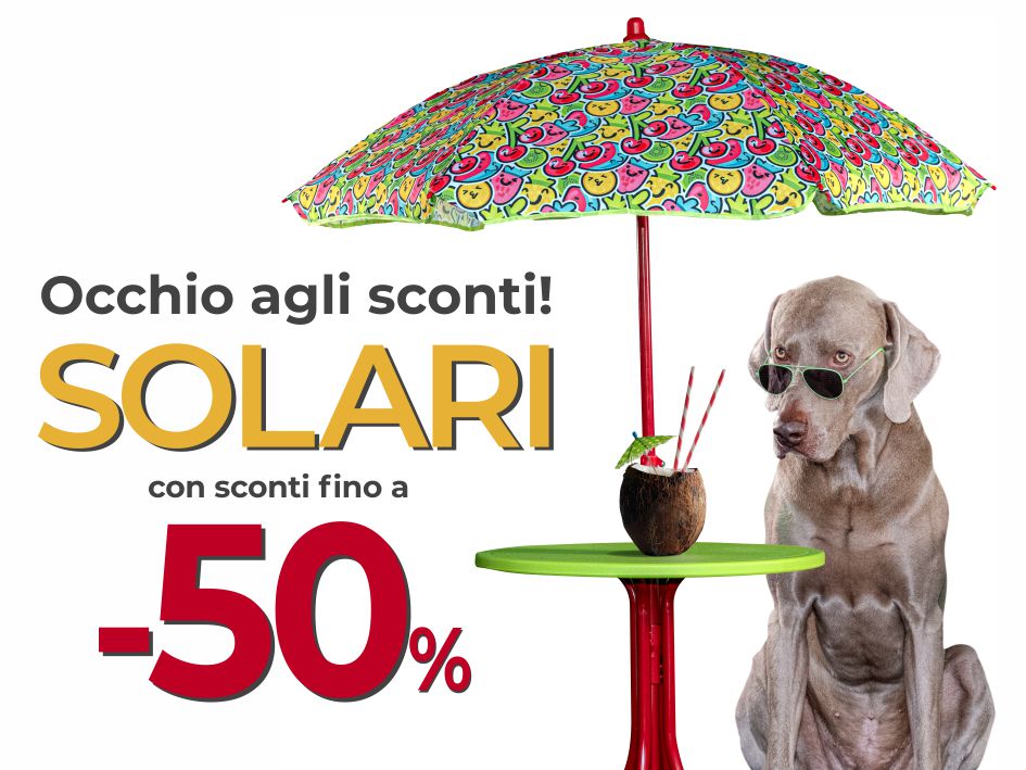 SOLARI_2025_SLIDE_3